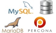 超越MySQL:三个流行MySQL分支的对比