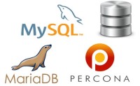 超越MySQL：三个流行MySQL分支的对比