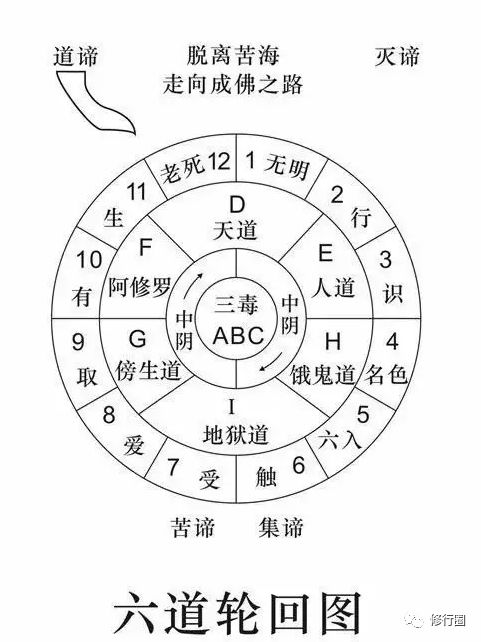 宇宙的密码：能读完、读懂此文的，能量都不一般