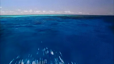 与半人马座相遇