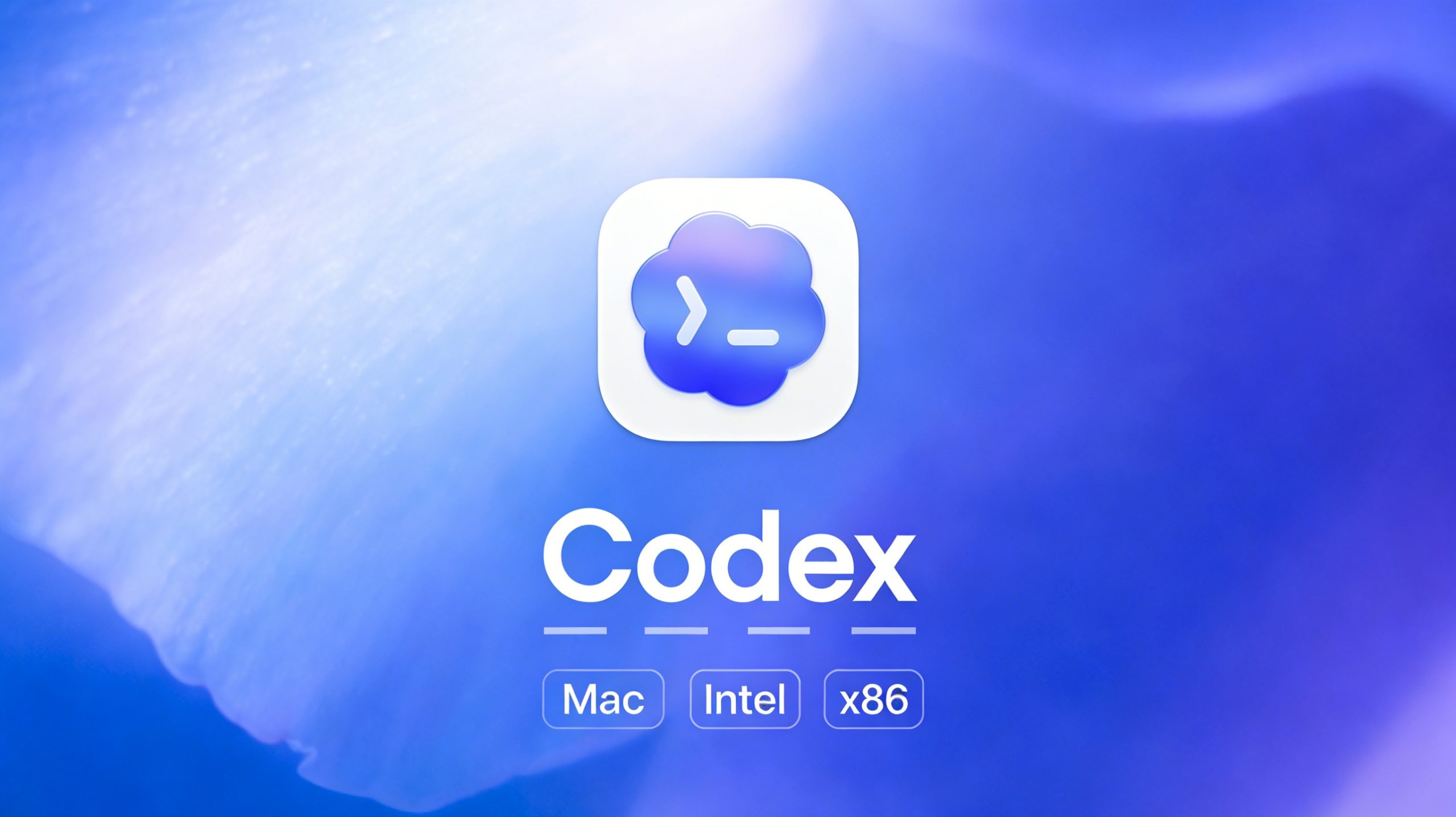 Codex App For Macos Intel (X86_64) 版本下载