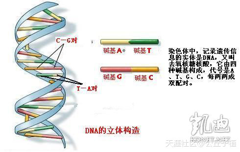 《绝密文档》人类起源真相大揭秘